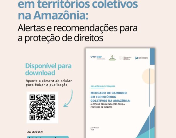 Lançamento da Publicação “Mercado de carbono em territórios coletivos na Amazônia: Alertas e recomendações para a proteção de direitos”