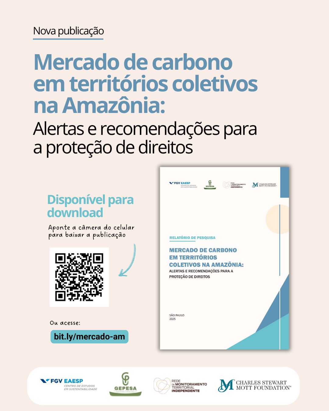 Lançamento da Publicação “Mercado de carbono em territórios coletivos na Amazônia: Alertas e recomendações para a proteção de direitos”